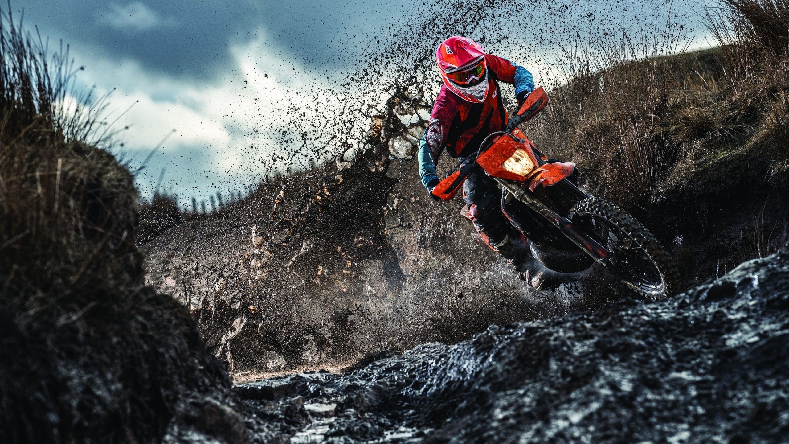 中国高尔夫青训体系升级 2026年计划培养百名精英球员